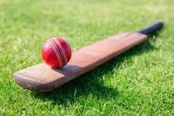 Cricket